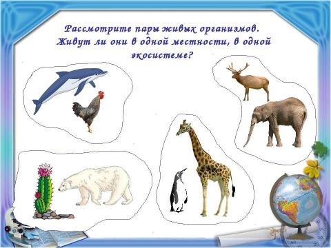 Презентация на тему "Природная зональность ("Школа 2100" Вахрушев)" по окружающему миру