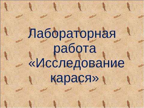 Презентация на тему "Исследование карася" по биологии