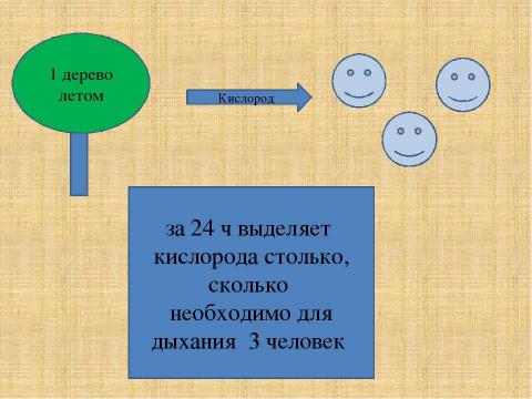 Презентация на тему "Вырубка деревьев - большая проблема маленького города" по экологии