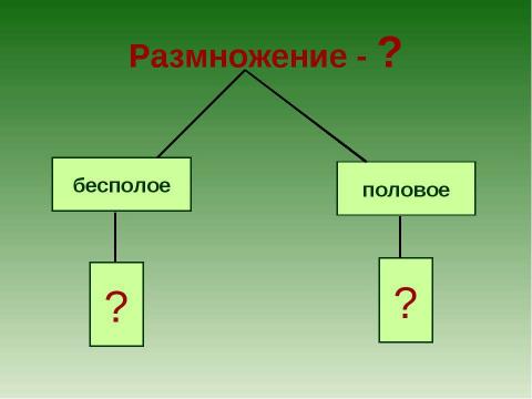 Презентация на тему "Растения - оплодотворение и размножение" по биологии