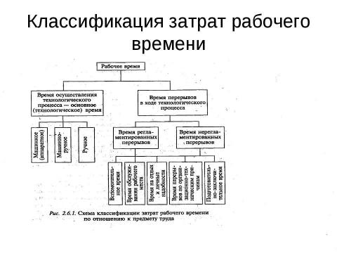 Презентация на тему "Нормирование труда" по экономике