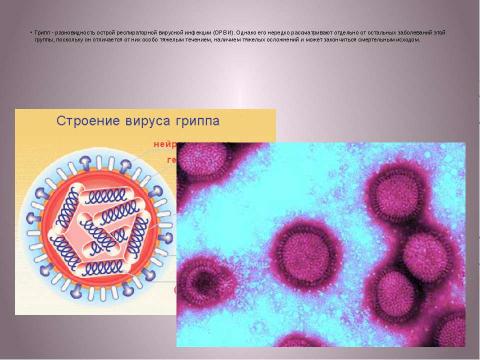 Презентация на тему "Грипп профилактика и лечения" по биологии