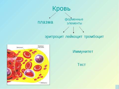 Презентация на тему "Кровь" по биологии