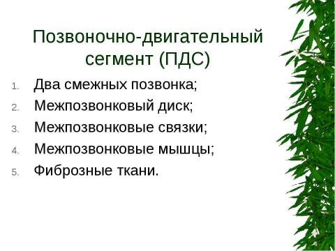 Презентация на тему "Вертеброгенные дорсопатии. Туннельные синдромы" по медицине