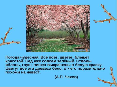 Презентация на тему "Урок - путешествие в зимний лес" по русскому языку