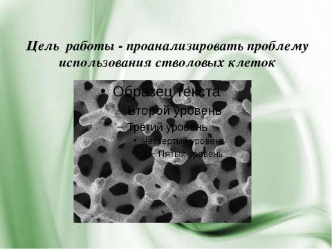 Презентация на тему "Стволовые клетки и выращивание органов и тканей" по биологии