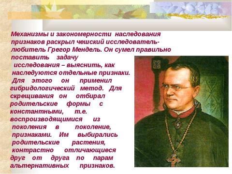 Презентация на тему "ИССЛЕДОВАНИЯ Г.МЕНДЕЛЯ. МОНОГИБРИДНОЕ СКРЕЩИВАНИЕ. I и II ЗАКОНЫ МЕНДЕЛЯ" по биологии