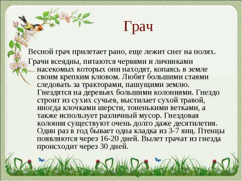 Презентация на тему "Летят перелётные птицы" по начальной школе