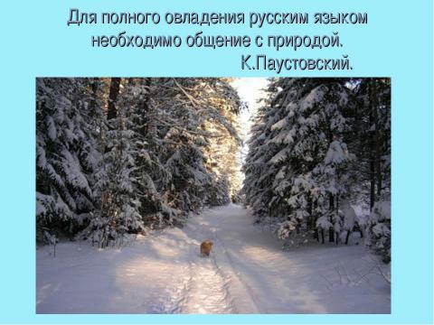 Презентация на тему "Подготовка к сочинению – описанию природы «Зимний пейзаж»" по литературе