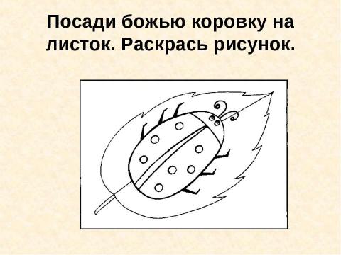 Презентация на тему "Божья коровка" по окружающему миру