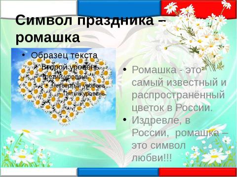 Какой цветок является символом дня семьи любви. Ромашка символ любви. Символ любви и верности в России. Ромашка символ дня семьи любви и верности. Ромашка символ России.