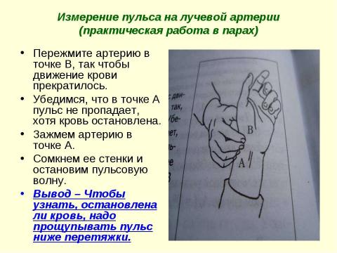 Презентация на тему "Движение крови по сосудам. Причины движения крови по сосудам" по биологии