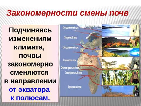 Презентация на тему "Почва 6 класс" по окружающему миру