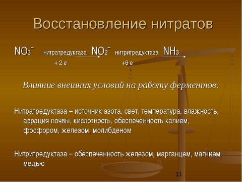 Презентация на тему "Физиологические основы применения азотных удобрений" по биологии