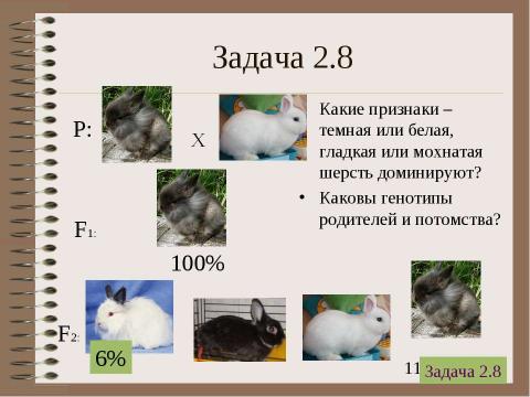 Презентация на тему "Электронный задачник по генетике Часть 2" по биологии