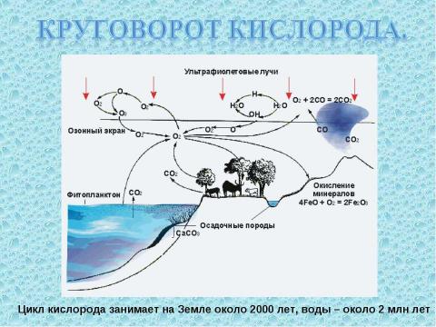 Презентация на тему "Круговорот веществ в биосфере" по географии