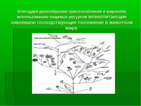 Презентация на тему "Среда обитания и внешнее строение млекопитающих" по биологии