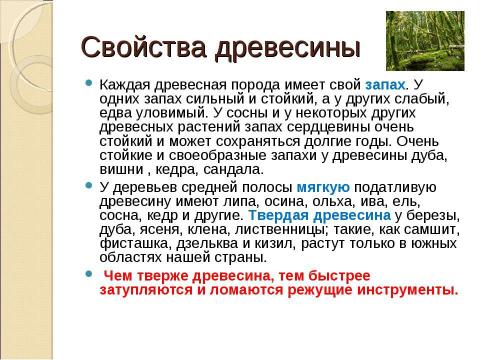 Презентация на тему "Тайны древесного ствола" по обществознанию