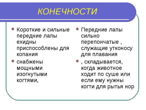 Презентация на тему "Яйцекладущие" по биологии