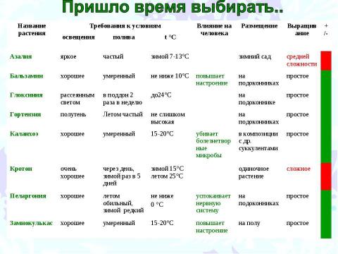 Презентация на тему "Озеленение нашего дома" по начальной школе