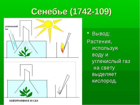 Презентация на тему "История открытия фотосинтеза" по биологии