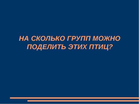 Презентация на тему "Птицы зимой" по начальной школе