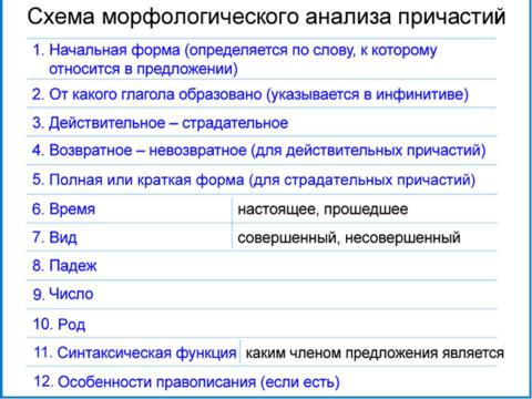 Презентация на тему "Морфологический разбор знаменательных и служебных частей речи" по русскому языку