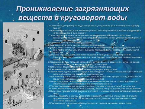 Презентация на тему "Гидросфера и проблемы загрязнения водной среды" по экологии