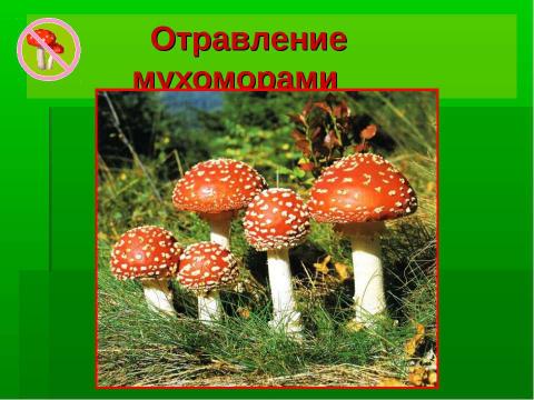 Презентация на тему "Грибное царство Смоленских борков" по начальной школе