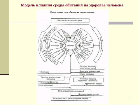 Презентация на тему "Экологический менеджмент" по экологии