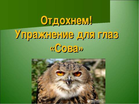 Презентация на тему "В.Бианки «Сова»" по литературе