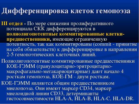 Презентация на тему "Современная схема кроветворения. Регуляция гемопоэза" по биологии