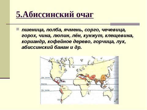 Презентация на тему "Центры происхождения культурных растений" по биологии