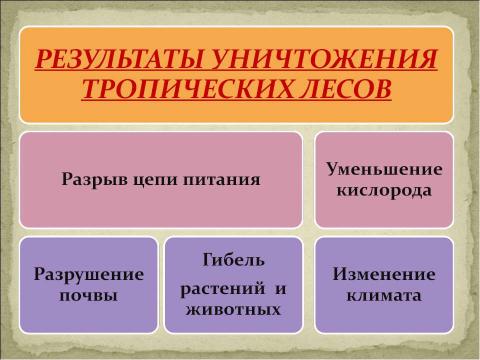 Презентация на тему "Прошлое и настоящее глазами эколога" по экологии