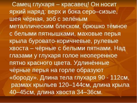 Презентация на тему "Глухарь" по экологии