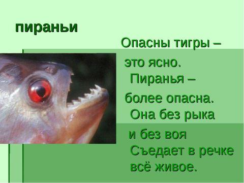 Презентация на тему "Внутренние воды Южной Америки" по географии