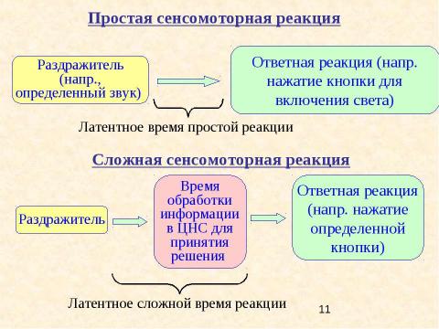 Презентация на тему "Психология двигательно-волевой сферы психической деятельности" по обществознанию