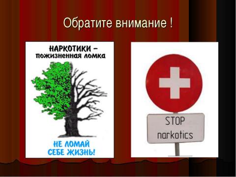 Презентация на тему "Не сломай судьбу свою" по обществознанию