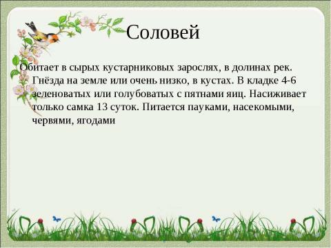 Презентация на тему "Летят перелётные птицы" по начальной школе