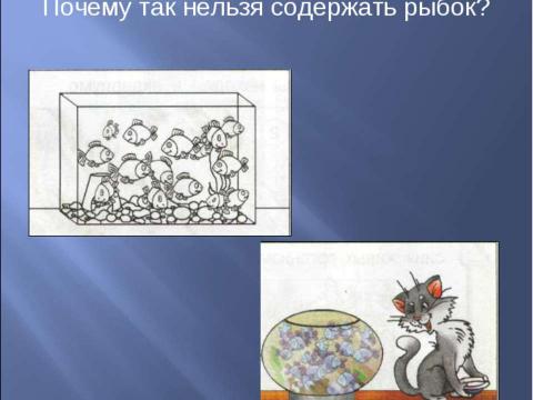 Презентация на тему "Аквариум – маленькая искусственная экосистема (3 класс)" по начальной школе