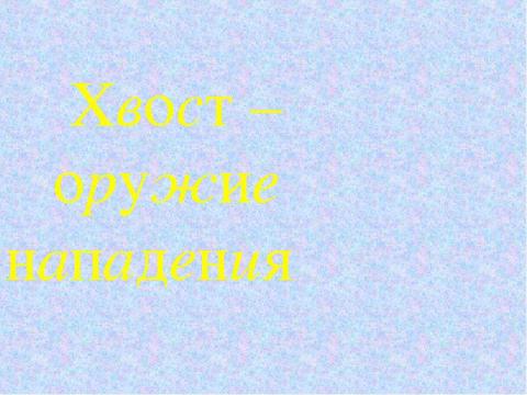 Презентация на тему "Зачем животным нужны хвосты? 5 класс" по окружающему миру