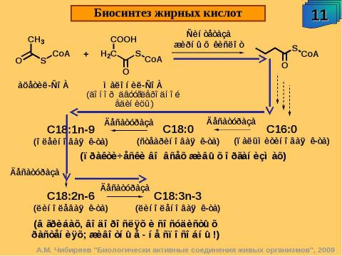 Презентация на тему "Биологически активные соединения живых организмов" по биологии