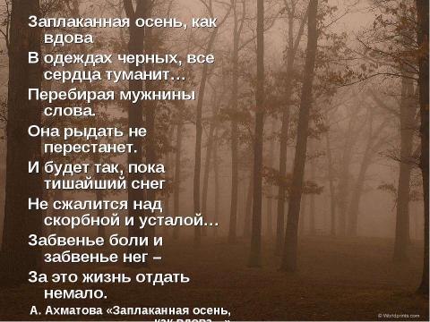 Презентация на тему "Эта встреча никем не воспета" по литературе