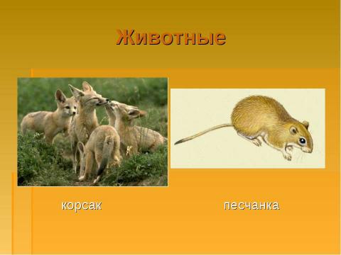 Презентация на тему "Природные зоны России. Зона пустынь" по окружающему миру