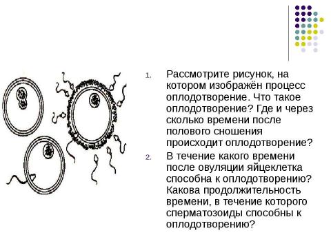 Презентация на тему "Внутриутробное развитие человека" по биологии