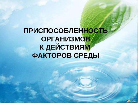 Презентация на тему "Общие законы действия факторов среды на организм" по биологии