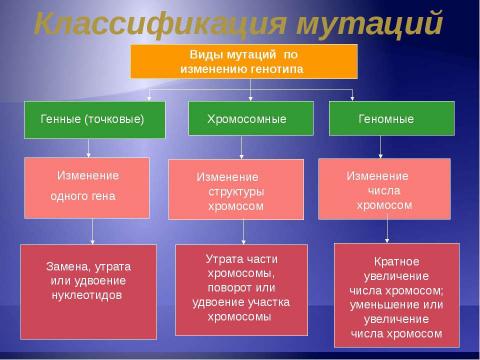 Презентация на тему "Изменчивость. Мутации" по биологии