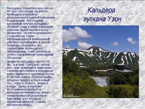 Презентация на тему "Этот удивительный мир природы" по окружающему миру