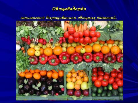 Презентация на тему "Растениеводство" по окружающему миру