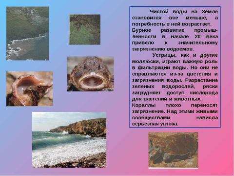 Презентация на тему "экологическая безопасность" по экологии